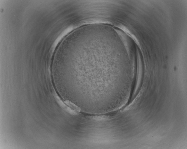 X0000075901189200609221929