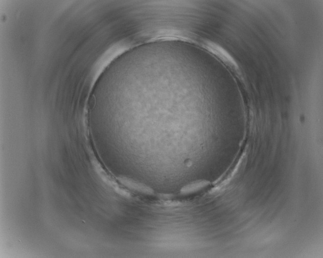 X0000075901190200609221929