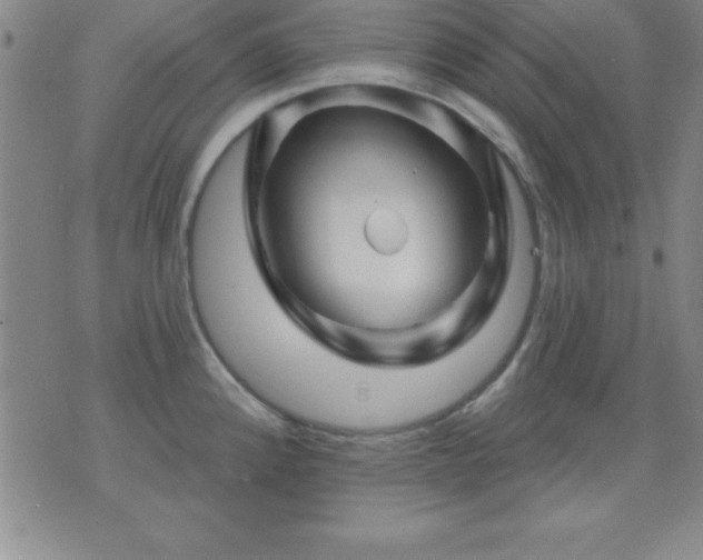 X0000075901192200609221929