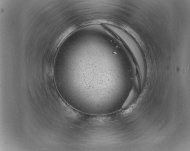 X0000075901193200609221929