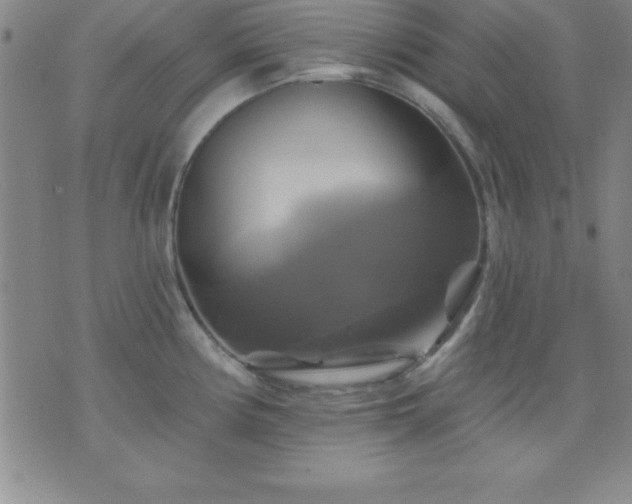 X0000075901194200609221929