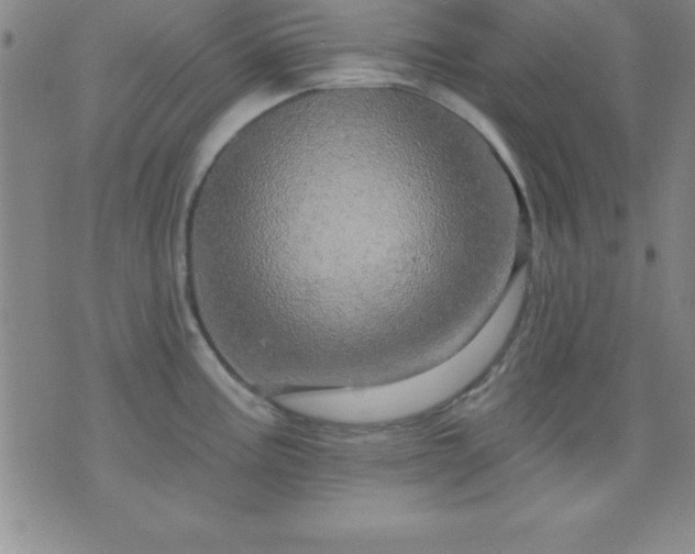 X0000075901195200609221929