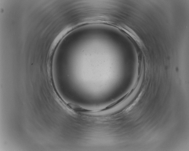 X0000075901196200609221929