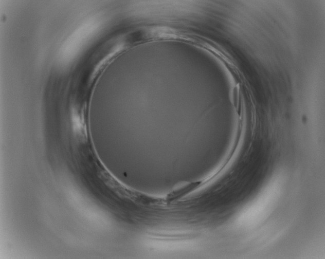 X0000075901198200609221929