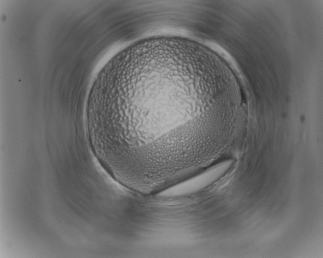 X0000075901199200609221929