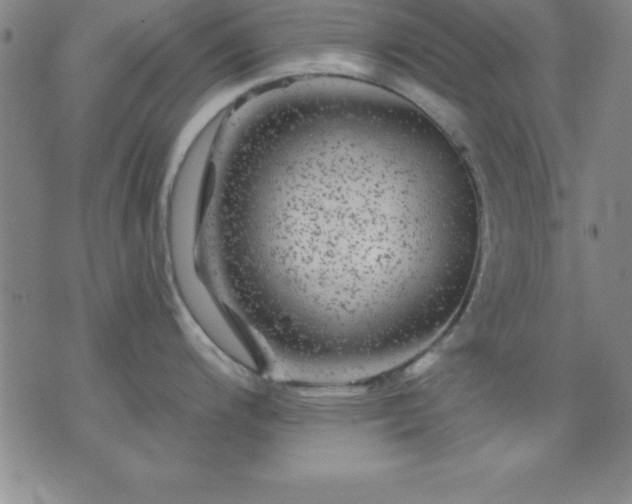 X0000075901200200609221929