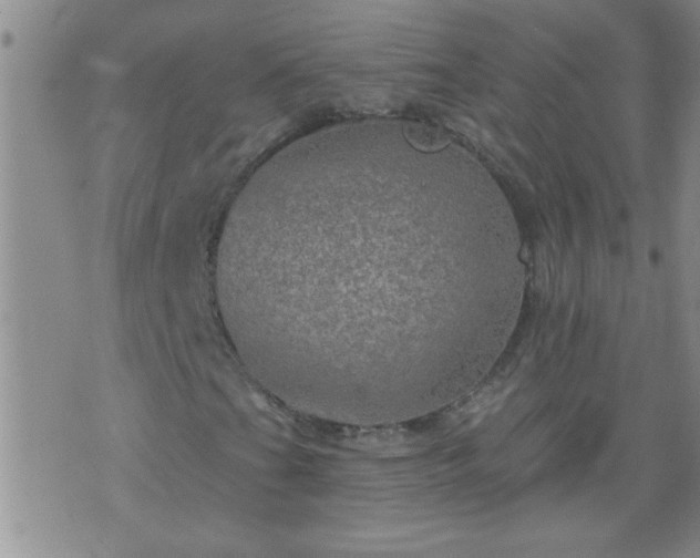 X0000075901201200609221928