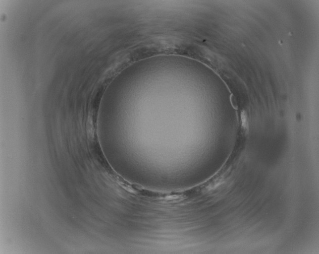 X0000075901203200609221928