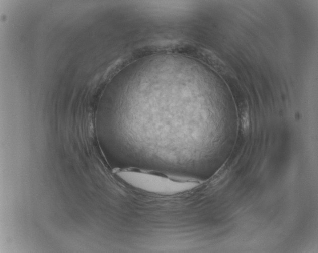 X0000075901204200609221928