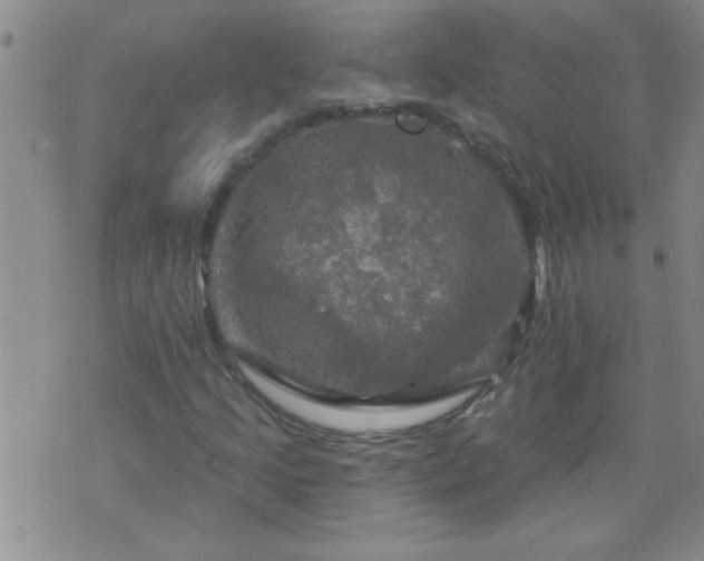 X0000075901205200609221928