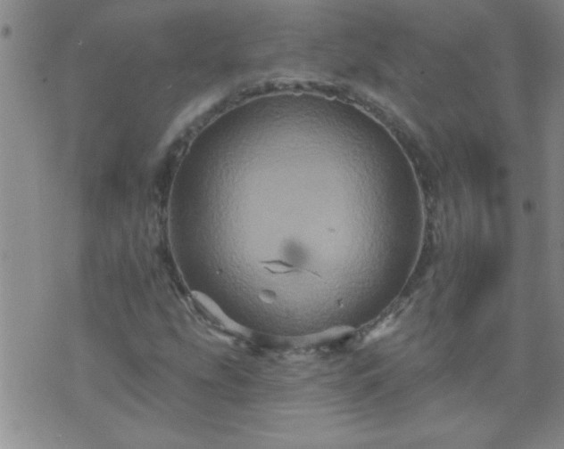 X0000075901207200609221928