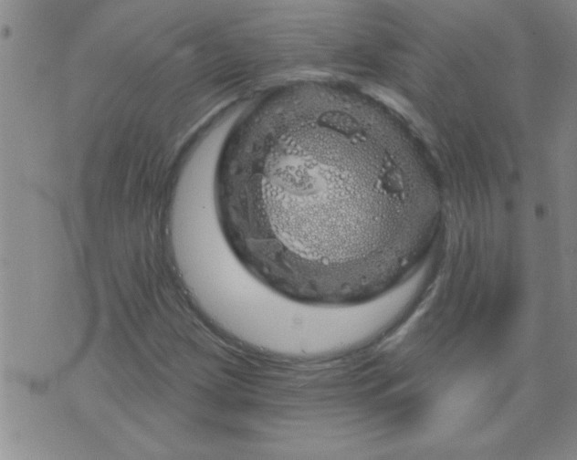 X0000075901209200609221928