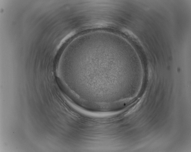 X0000075901210200609221928