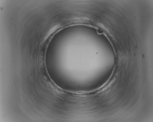 X0000075901211200609221928