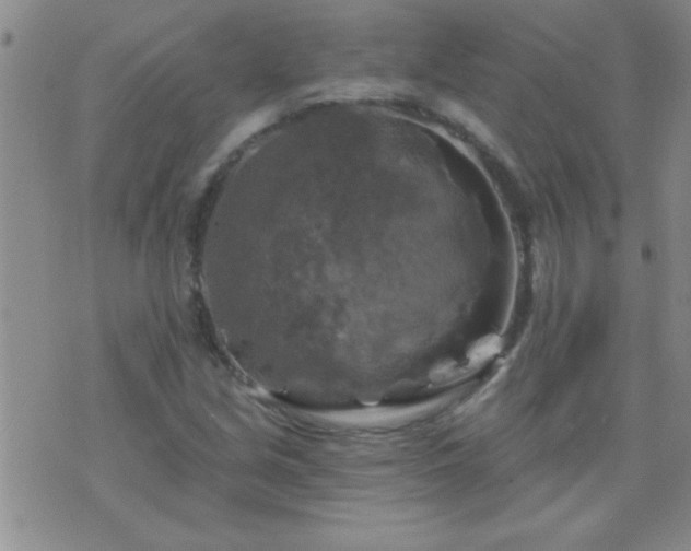 X0000075901213200609221928