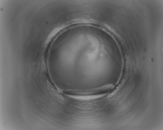 X0000075901215200609221928