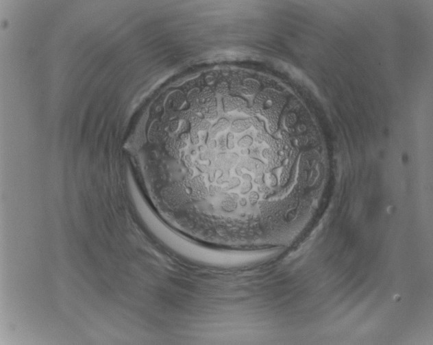 X0000075901217200609221928