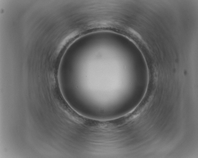 X0000075901218200609221928