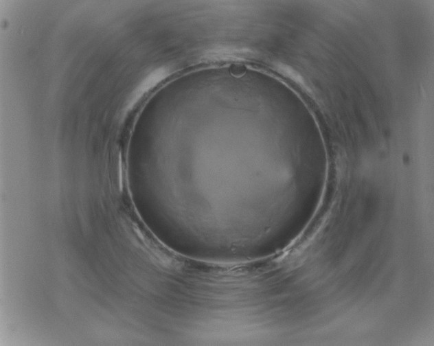 X0000075901219200609221928