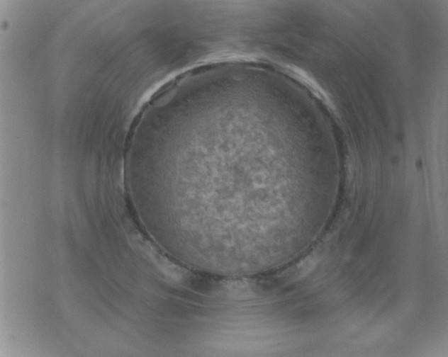 X0000075901220200609221928