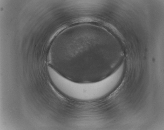 X0000075901225200609221928