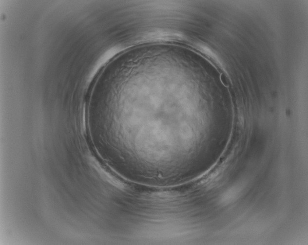 X0000075901227200609221928