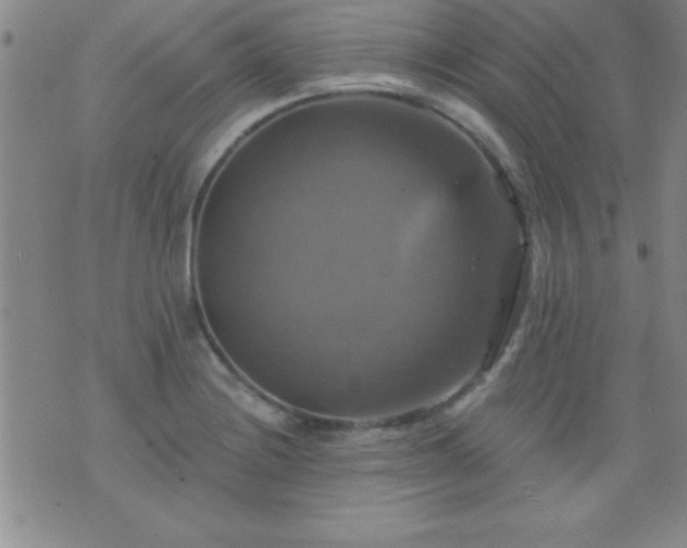 X0000075901228200609221928