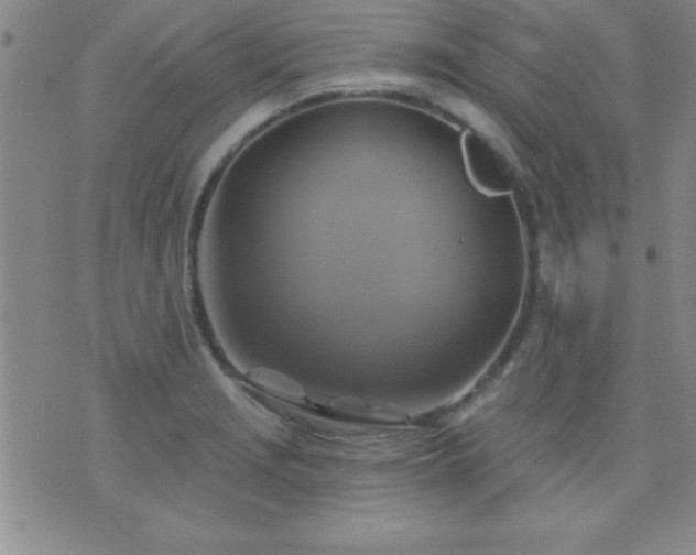 X0000075901229200609221928