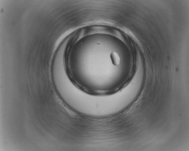 X0000075901230200609221928