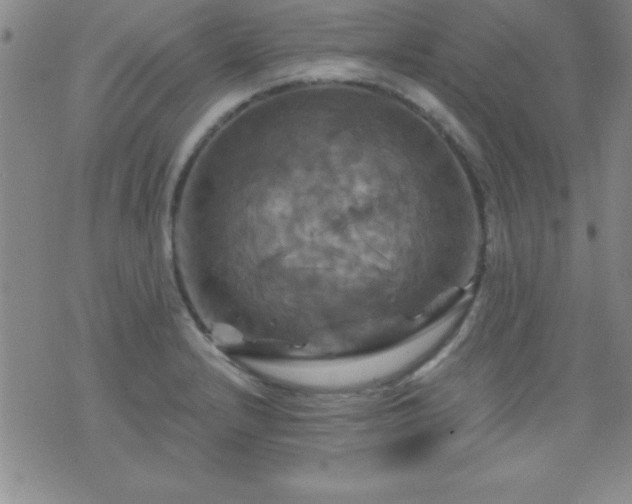 X0000075901232200609221928