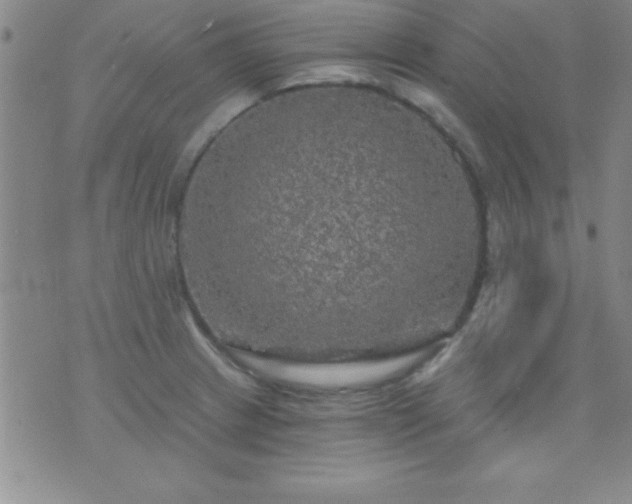 X0000075901233200609221928