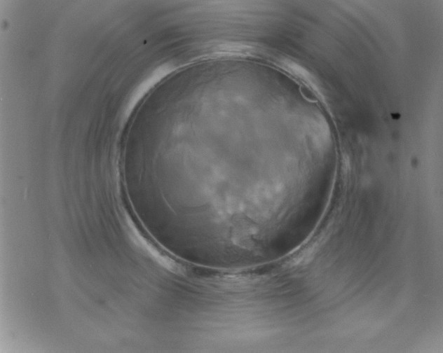 X0000075901235200609221929