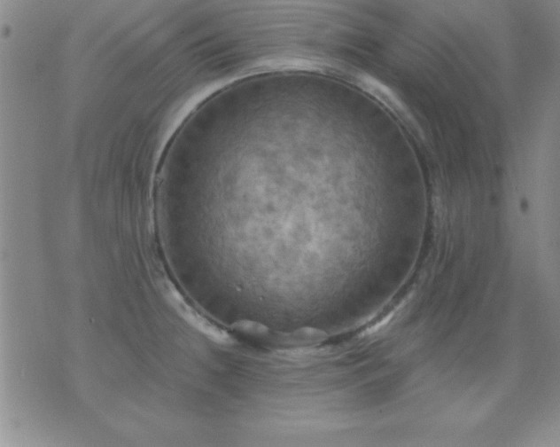 X0000075901236200609221929