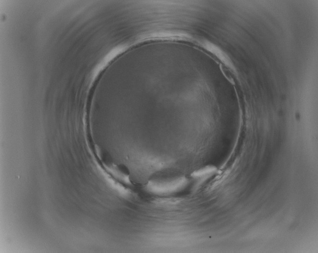 X0000075901237200609221929