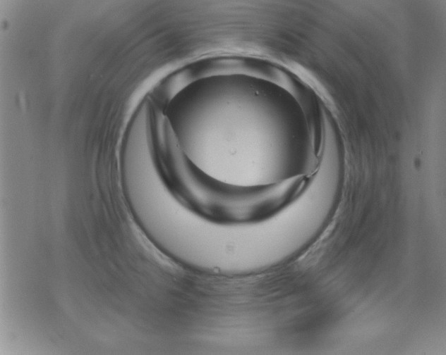 X0000075901238200609221929