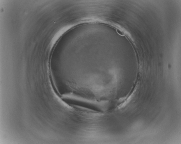 X0000075901239200609221929