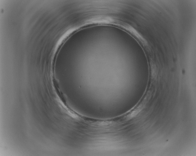 X0000075901240200609221929