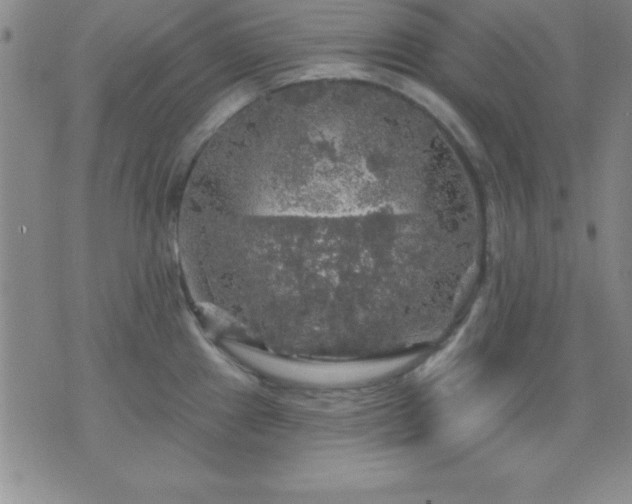 X0000075901241200609221929