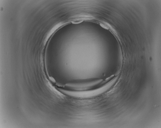 X0000075901243200609221929