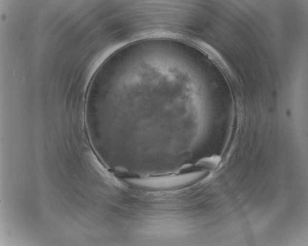 X0000075901244200609221929