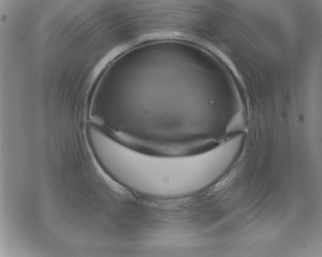 X0000075901245200609221929