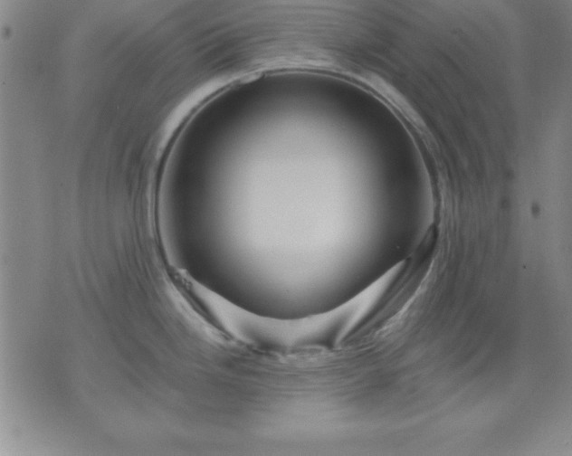 X0000075901246200609221929