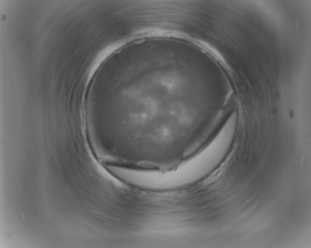 X0000075901247200609221929