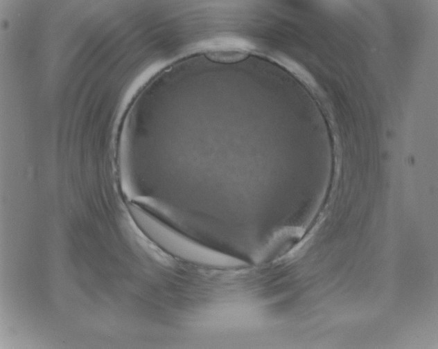 X0000075901248200609221929