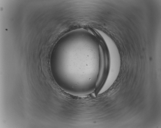 X0000075901249200609221928