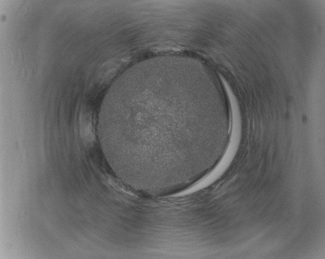 X0000075901250200609221928