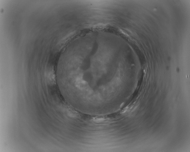 X0000075901252200609221928