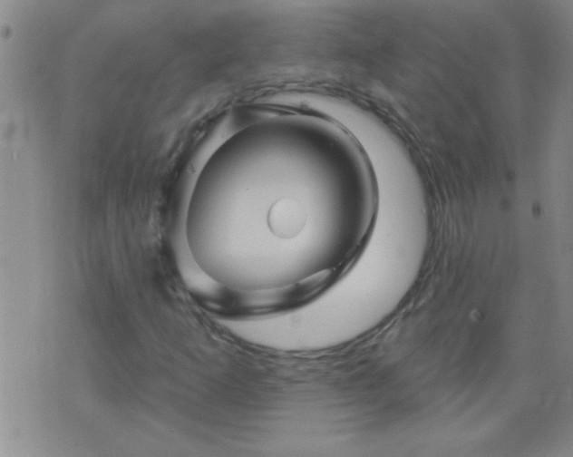 X0000075901253200609221928