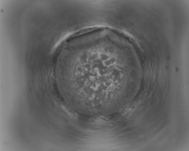 X0000075901255200609221928