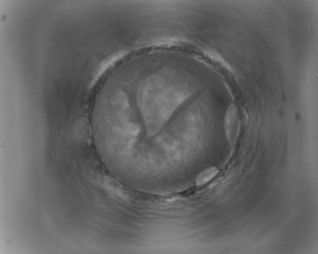 X0000075901256200609221928